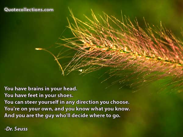 Dr. Seuss quotes1